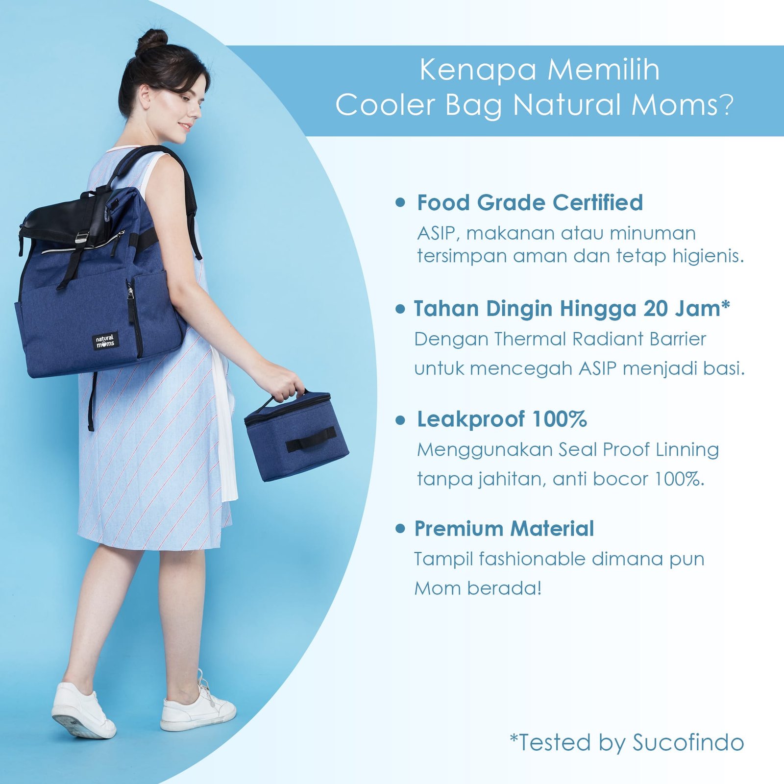 Cooler Bag Bacpack - Image 4